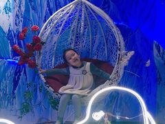 -烟台海昌鲸鲨海洋公园