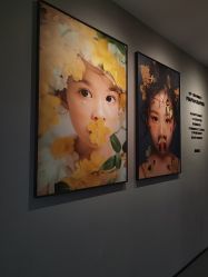 -大树儿童摄影