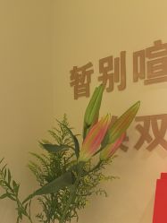 -芮娜皮肤管理·SPA中心