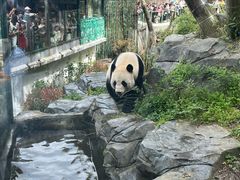 -锦江之星(南京新街口店)