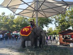 -西霞口神雕山野生动物世界