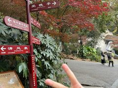 -岳麓山风景名胜区