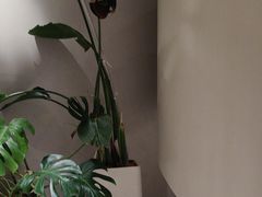 -泰合玺·精油疗愈 SPA(南京河西万达店)