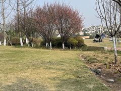 -金海湾滨江公园