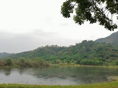 -风云岭森林公园