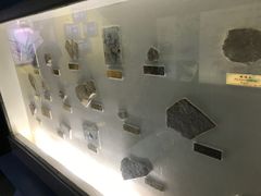 -上海昆虫博物馆