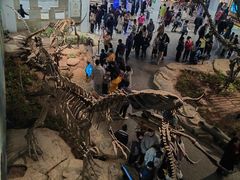 -自贡恐龙博物馆