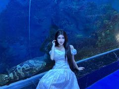 -威海华夏城景区