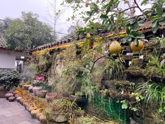 -青城甲(青城山店)