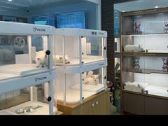 -翊宠yipet猫狗购宠庄园犬舍•猫舍