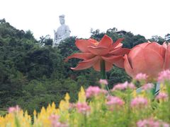 -东莞观音山旅游风景区
