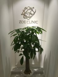 -紫御国际抗衰ZOE ANTI AGING