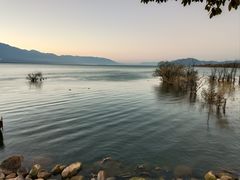 -野菌皇海景野生菌火锅(滨海大道店)