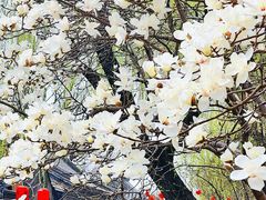 -雍和宫(地铁站)