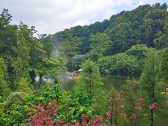 -广州市帽峰山景区