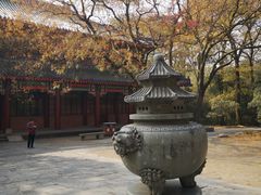 -灵谷景区