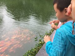 -西湖游船