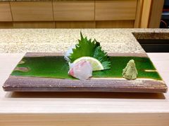 真鲷-鮨一日本料理旗舰店(总店)