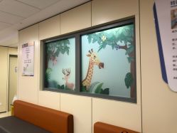 -上海交通大学医学院附属上海儿童医学中心(陆家嘴总院区)