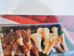 -木王宴语·野生鲜菌火锅(玉河店)