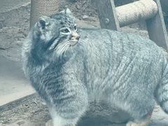 -青藏高原野生动物园