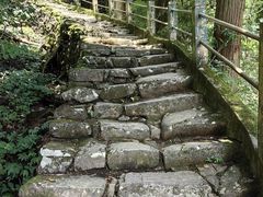 -天目山大树王景区