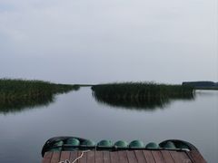-微山湖红荷湿地景区