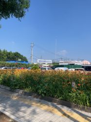 -城市花园婚纱摄影
