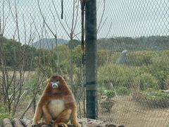 -宁波野生动物园