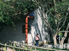 -靖西鹅泉风景区