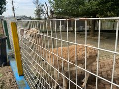 -武汉紫薇都市田园