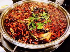 -味之绝热血美蛙鱼火锅(中坝店)
