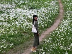 -白鹭湾湿地公园