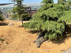 -石家庄市动物园