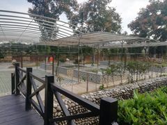 -三江森林温泉度假区