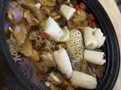 -蘑统田下·野生菌火锅