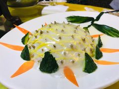 -丁老爷子苏香圆