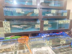 水产区-誉点壹品酒家(中山八店)