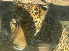 -石家庄市动物园