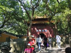 -普陀山风景名胜区-法雨禅寺