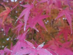 -荆川公园