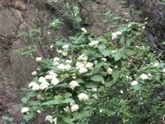 -野三坡百草畔景区