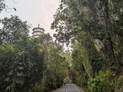 -深圳国际园林花卉博览园