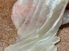 -镹·鱼料理  国产鱼使用店