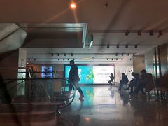 -天幕新彩云国际影城(激光巨幕店)