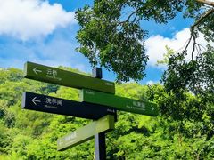 -云溪植物园
