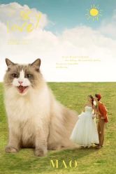 -MAO亲爱的猫婚纱摄影工作室