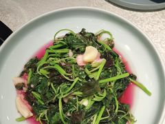 -洞庭家宴·头牌甲鱼(广渠门店)