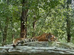 -北京野生动物园