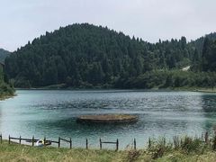 -武陵山森林公园